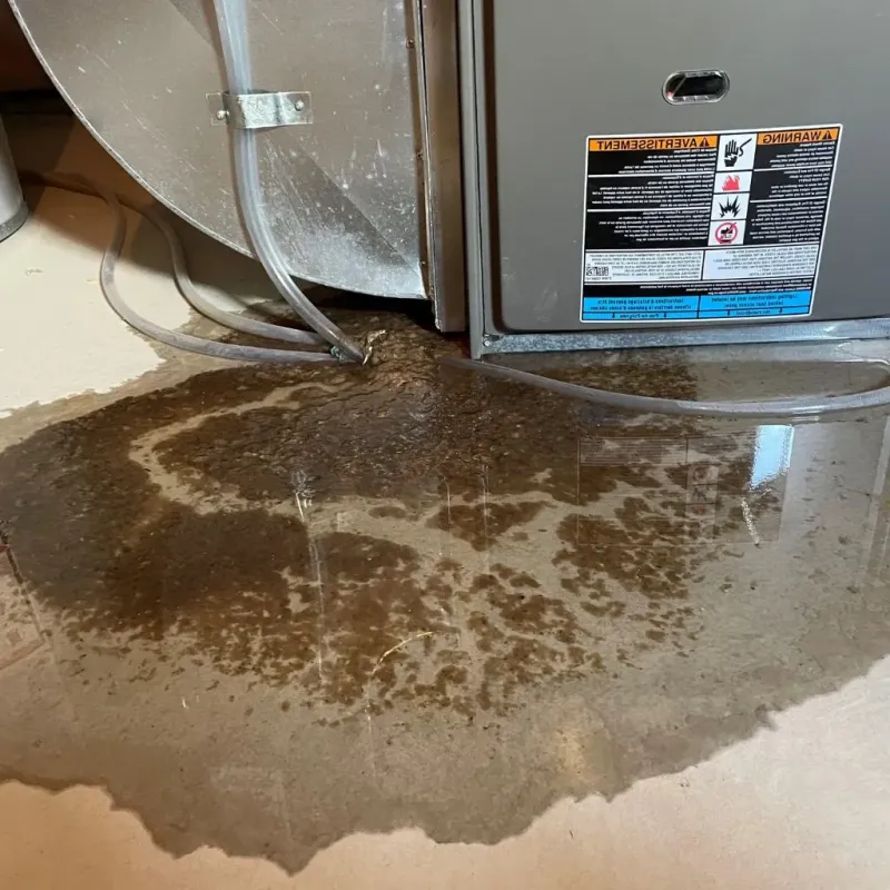 Pipe Burst and Leak Restoration in Contoocook, NH